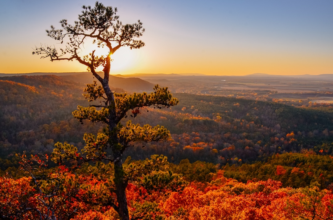Petit Jean CCC Overlook in the fall
