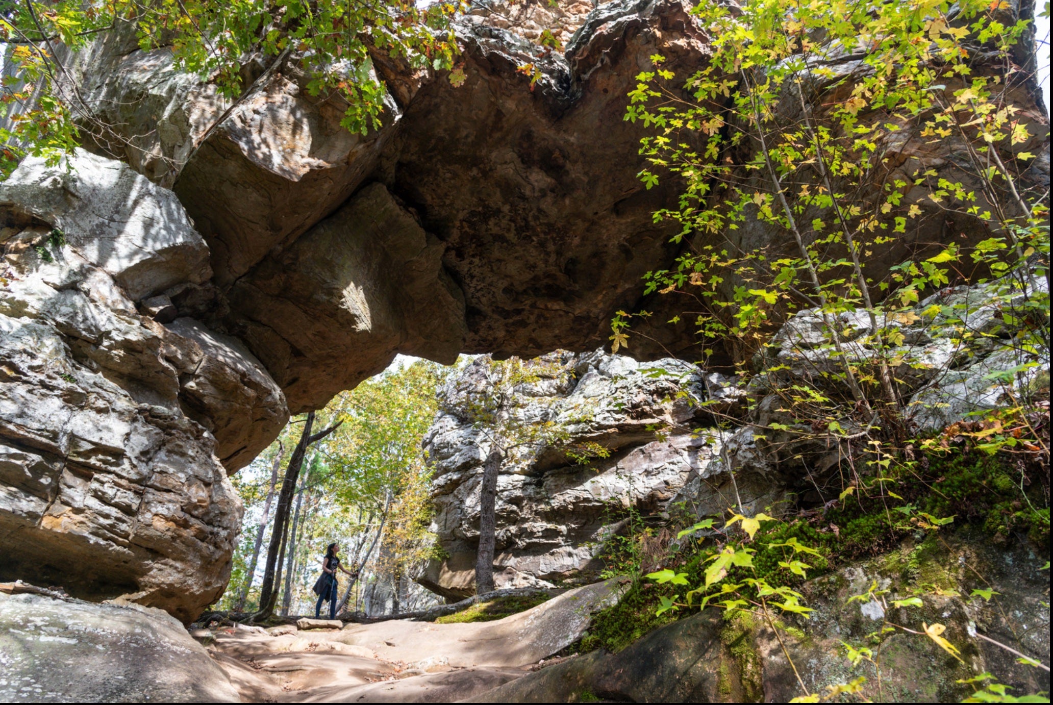 Petit Jean State Park