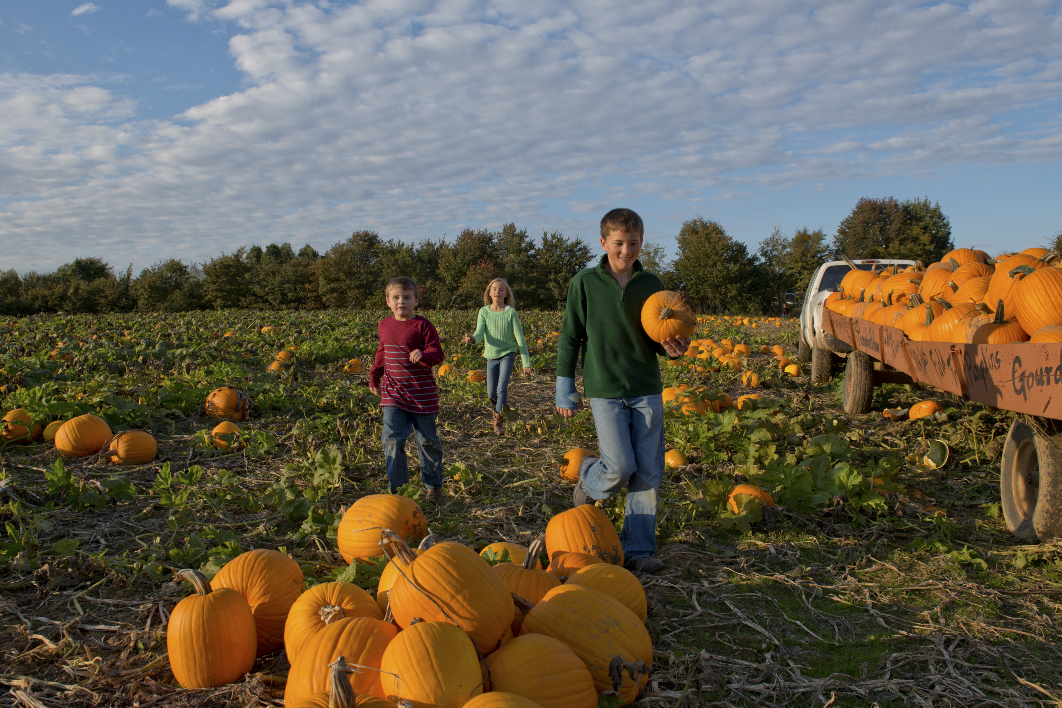 Pumpkin Hollow