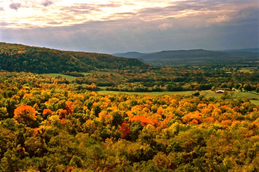 Highway 7 scenic view