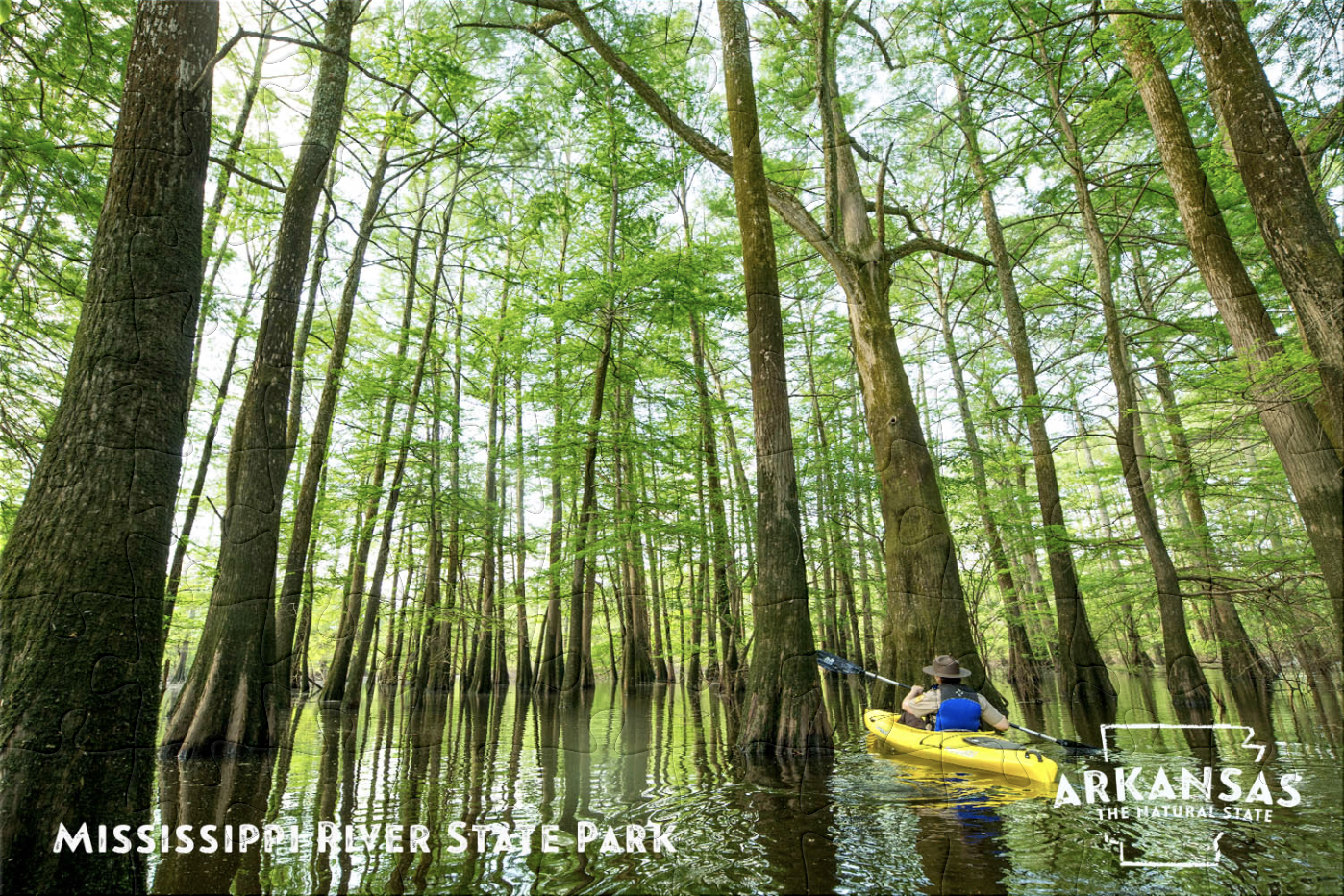 Mississippi River State Parks