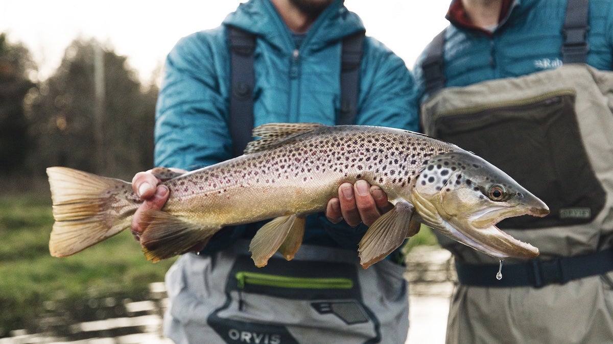 man holding a brown trout