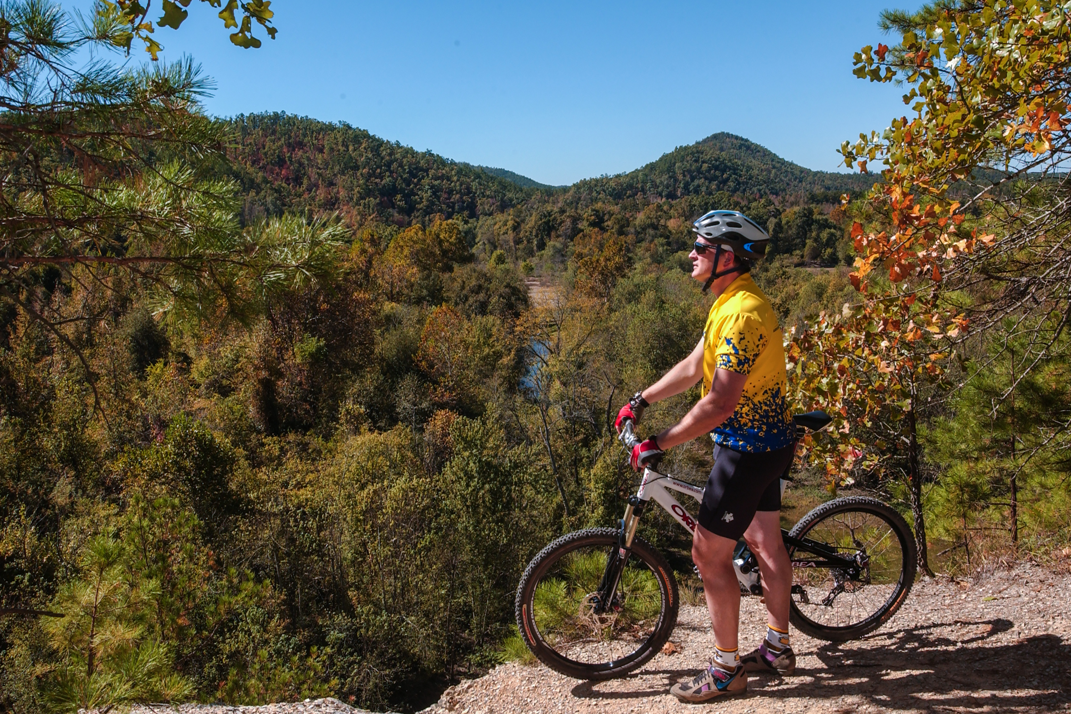 Vista during the fall foliage on the Womble Mountain Biking Trail