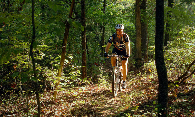 Mountain biking on the Syllamo Mountain Biking Trail near Mountain View, Arkansas
