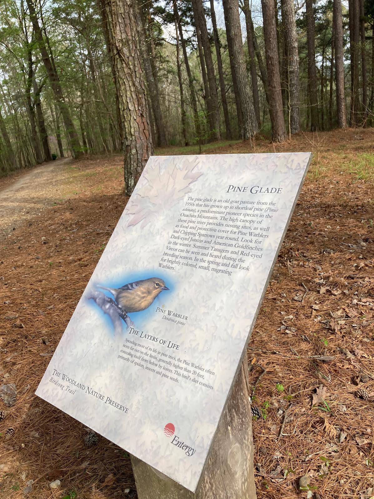 Birdsong Trail at Garvan Woodland Gardens 