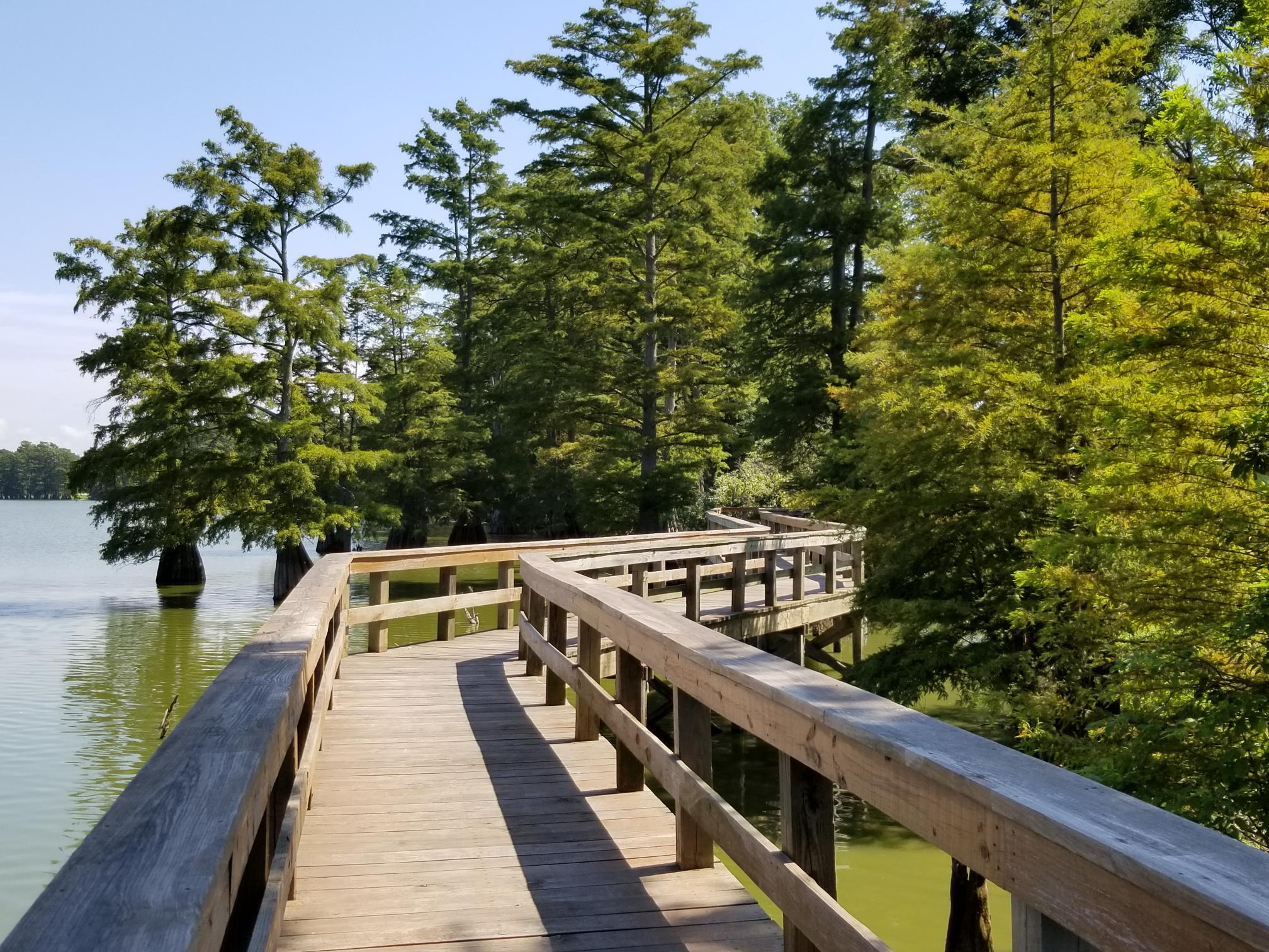 Mound Lake