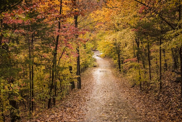 Devil's Den State Park in the fall