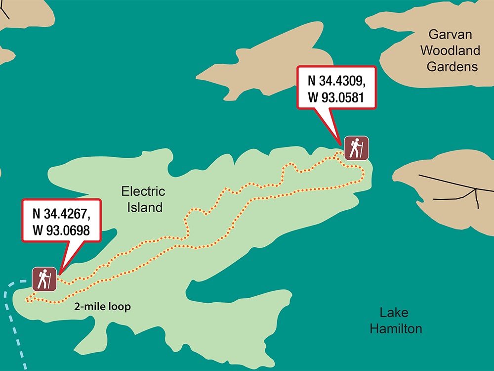 Electric Island Nature Trail 