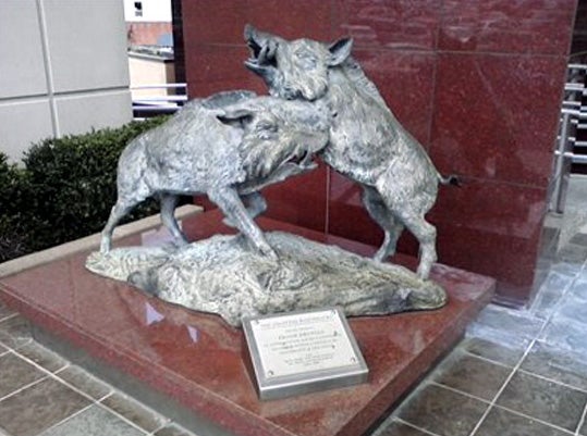 Razorback Mascots