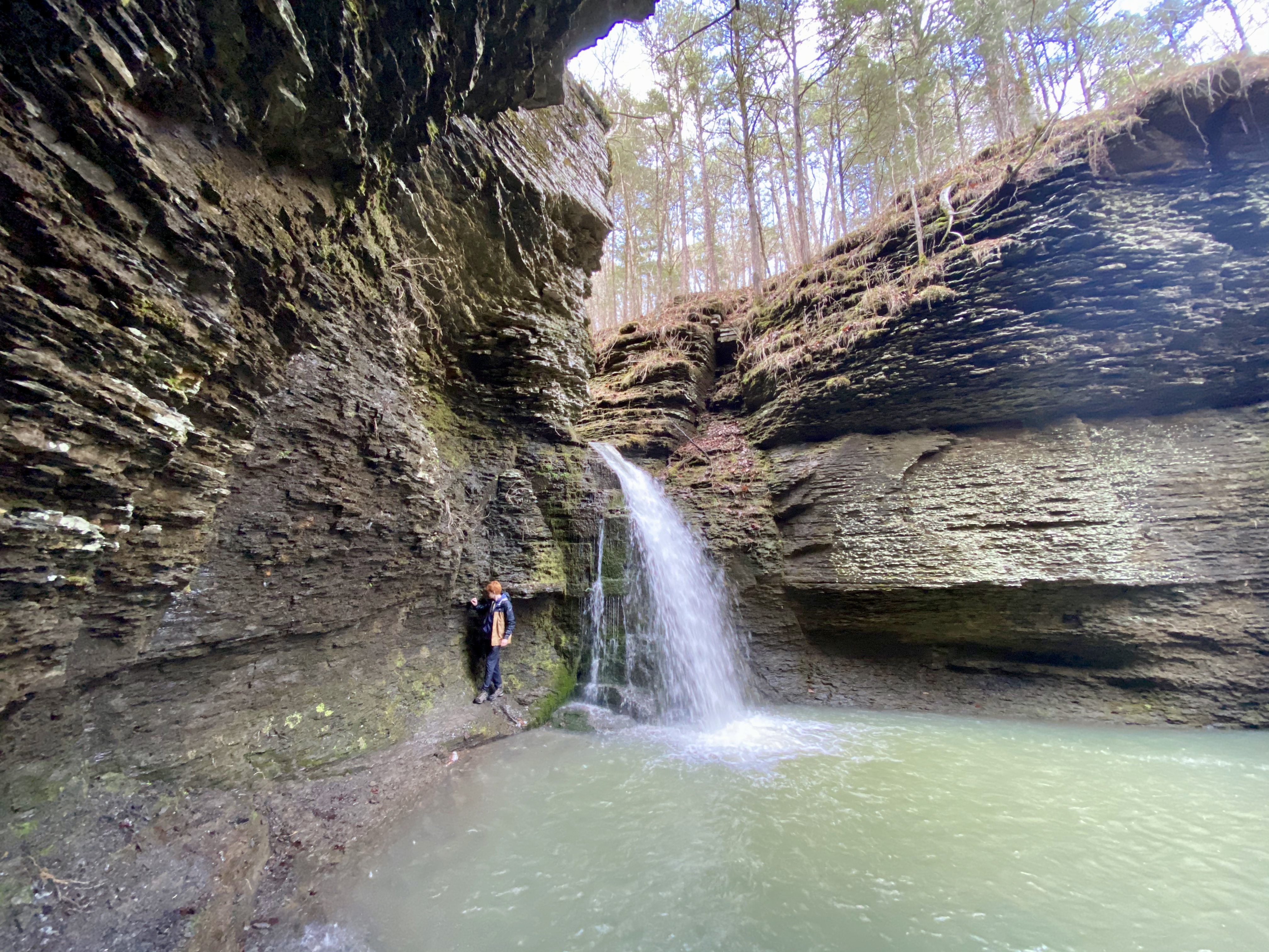 Box Canyon in Richland Creek Wilderness Area