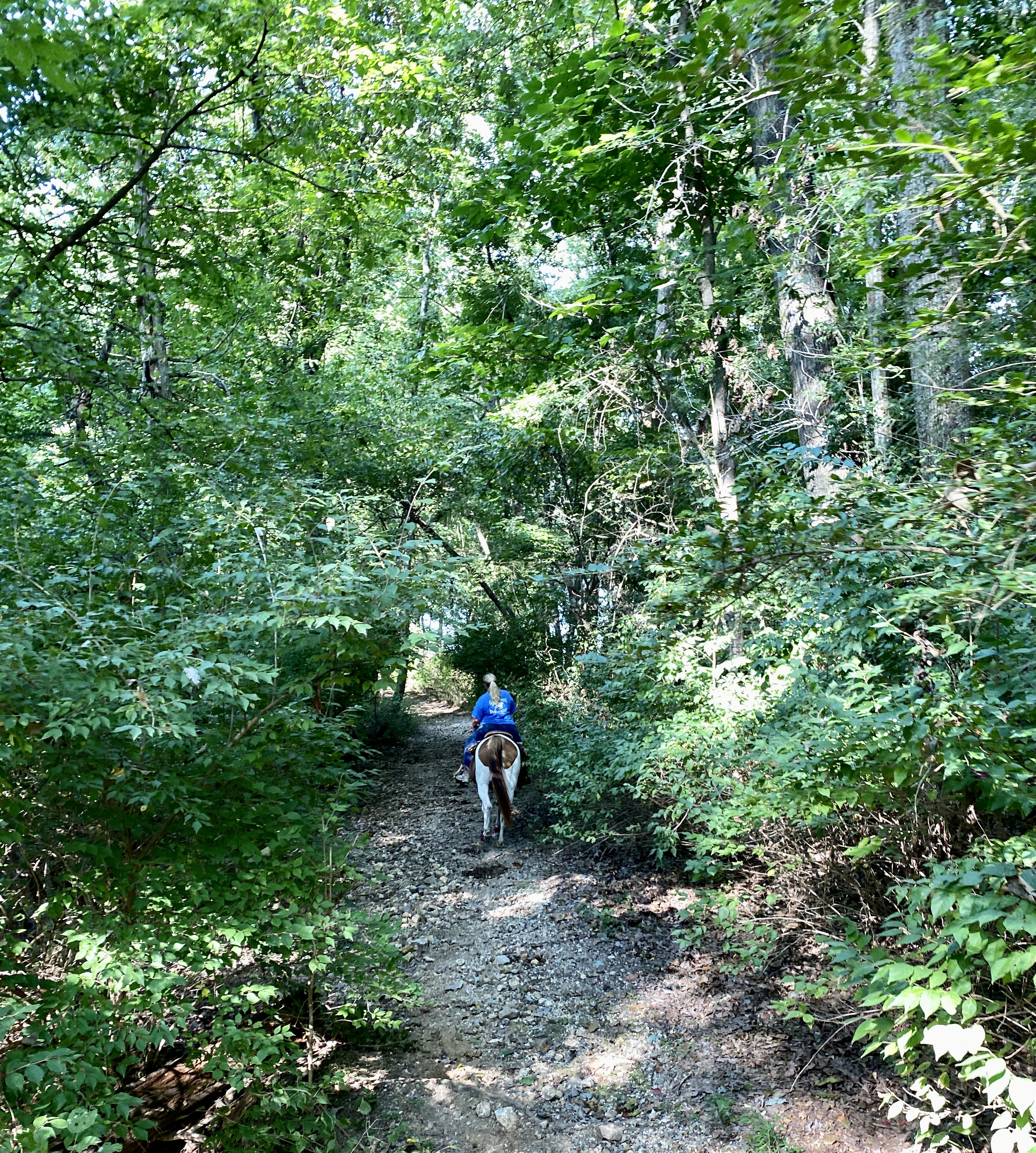 Horseback riding at Lake Sequoyah in Fayetteville, Arkansas
