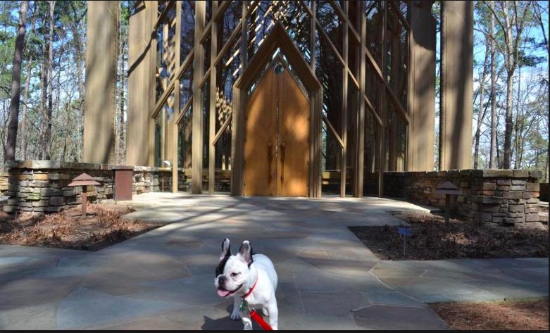 Garvan Woodland Gardens