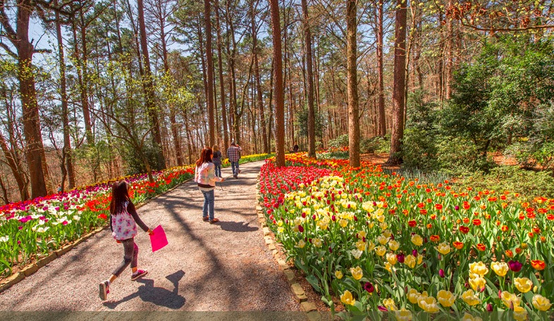 Garvan Woodland Gardens 