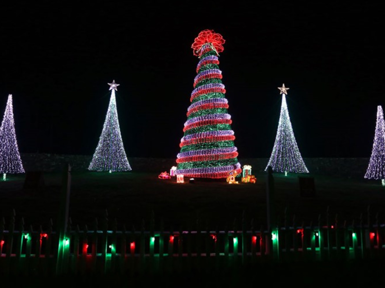 Holiday Lights