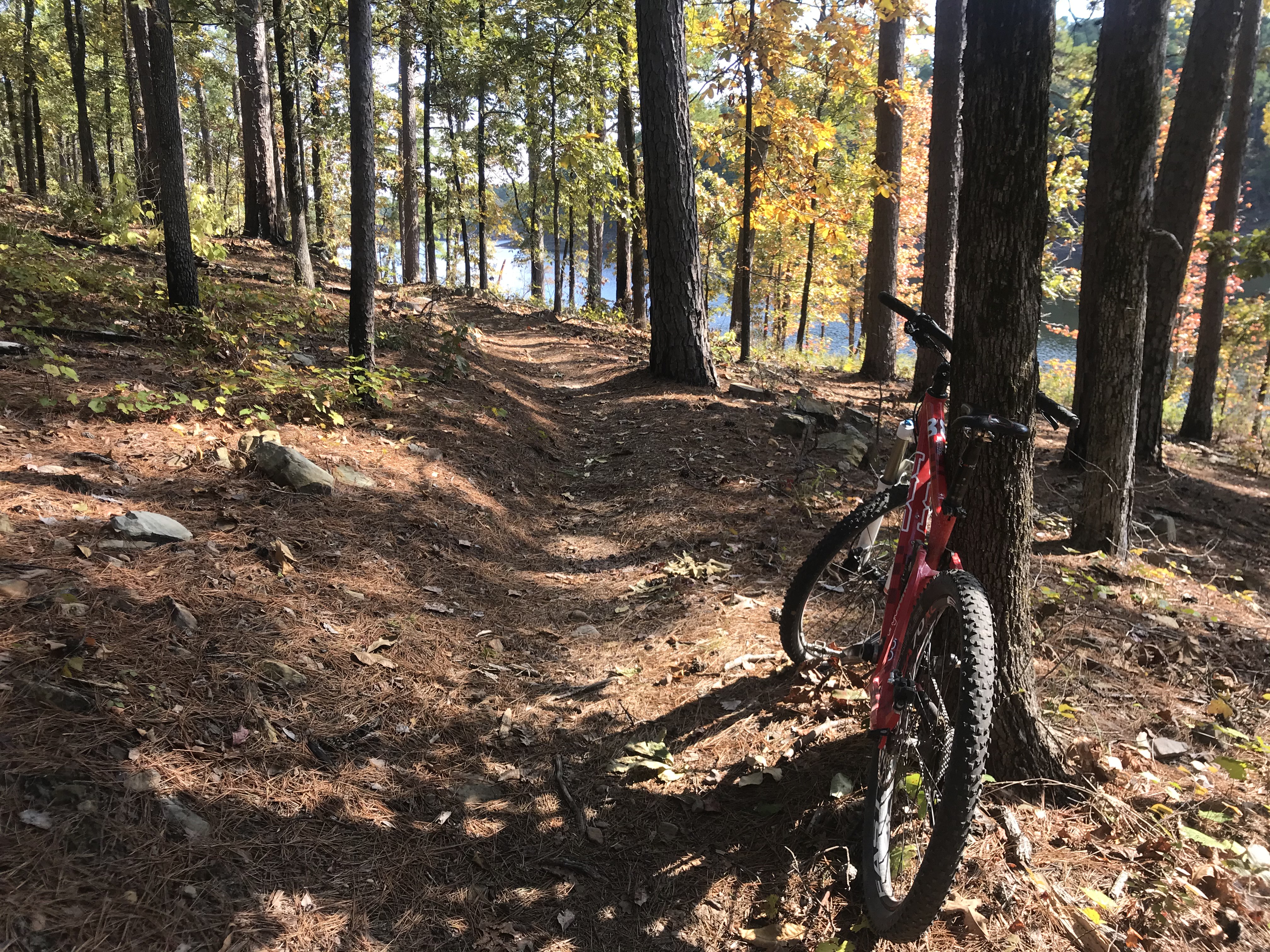 Iron Mountain Trails