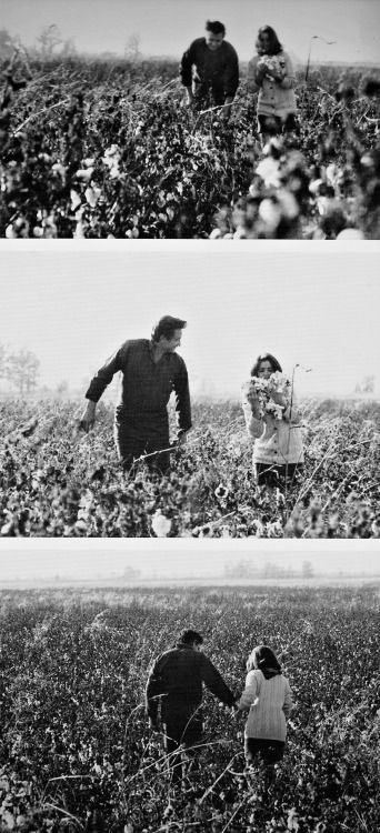 Johnny and wife June in a cotton field near Cash's boyhood home on a visit to Dyess.