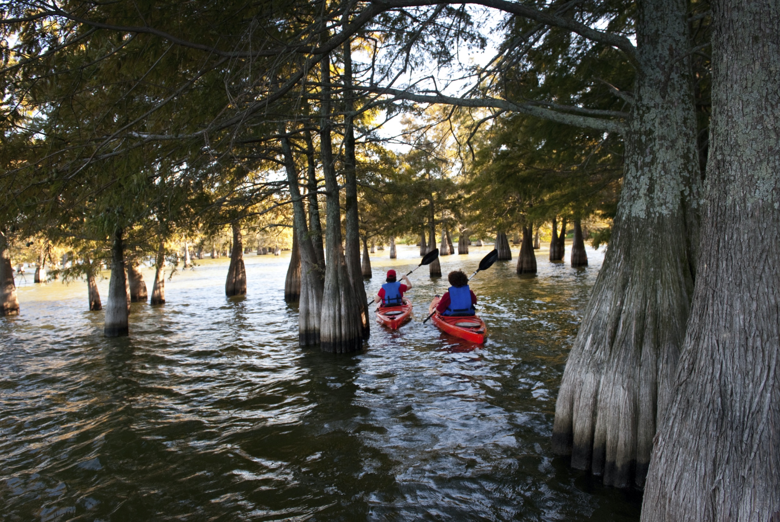 Lake Chicot