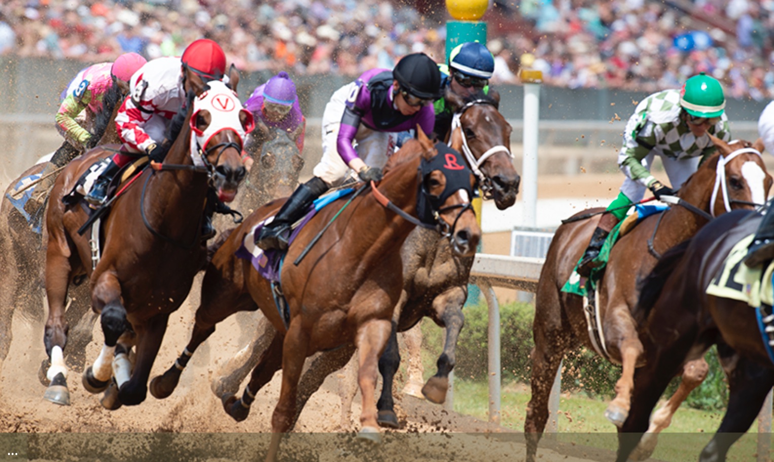 Oaklawn Racing Casino Resort offers yearround excitement in Hot