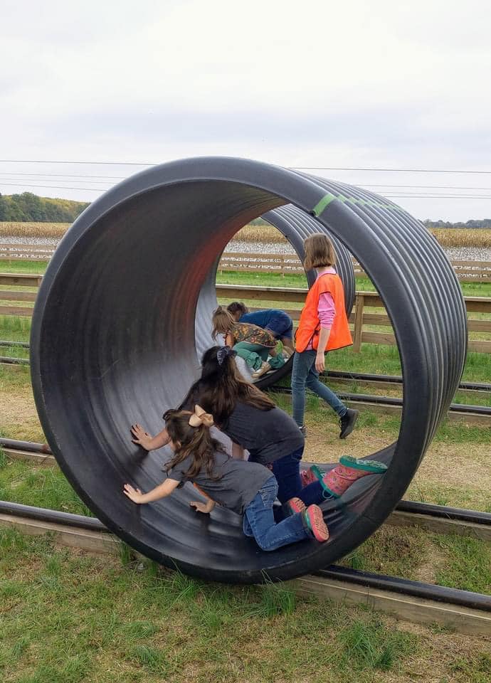 "Hamster wheel" races at Peebles Farm!