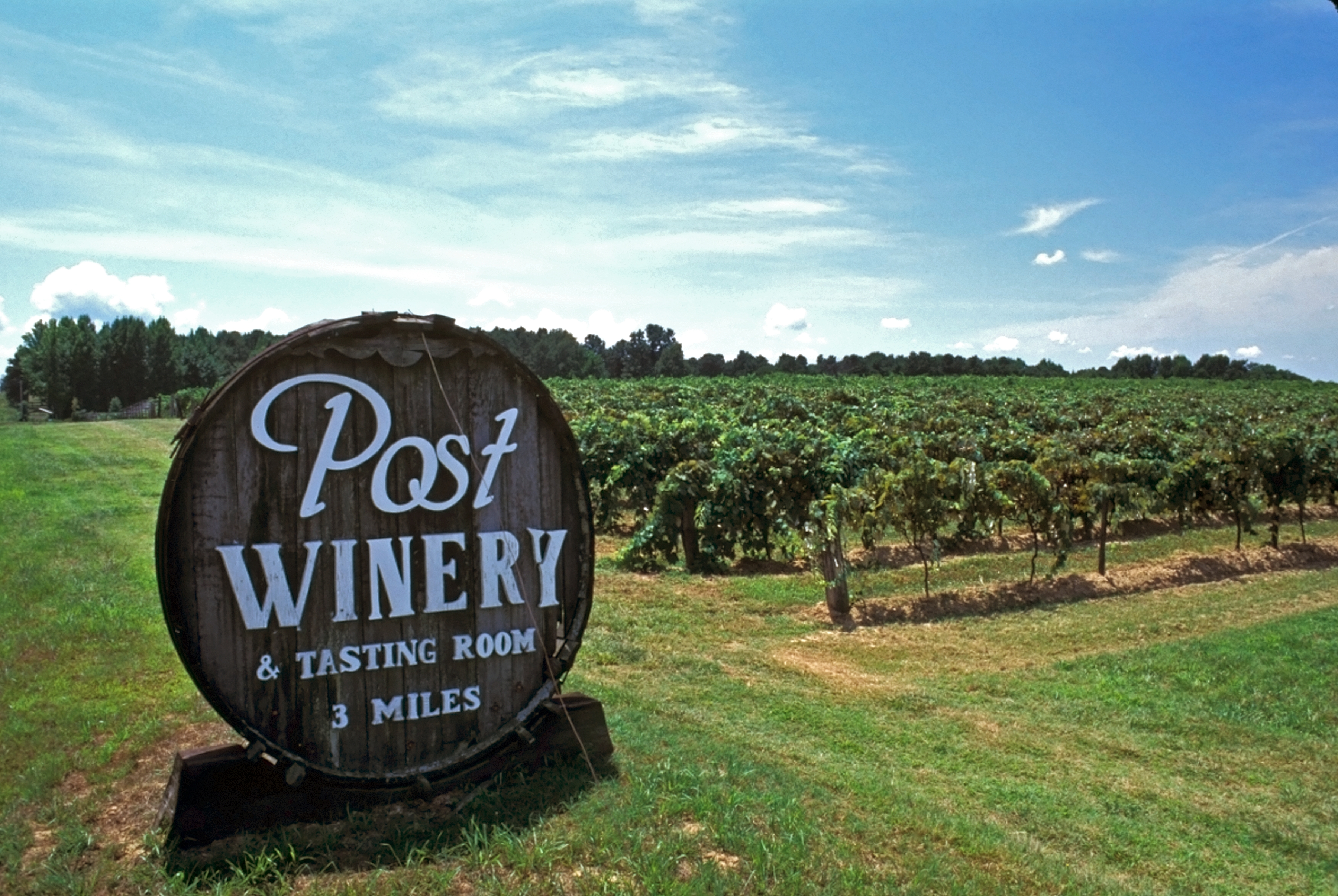 Arkansas Wine Trail | Arkansas.com