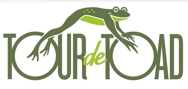 Tour de Toad