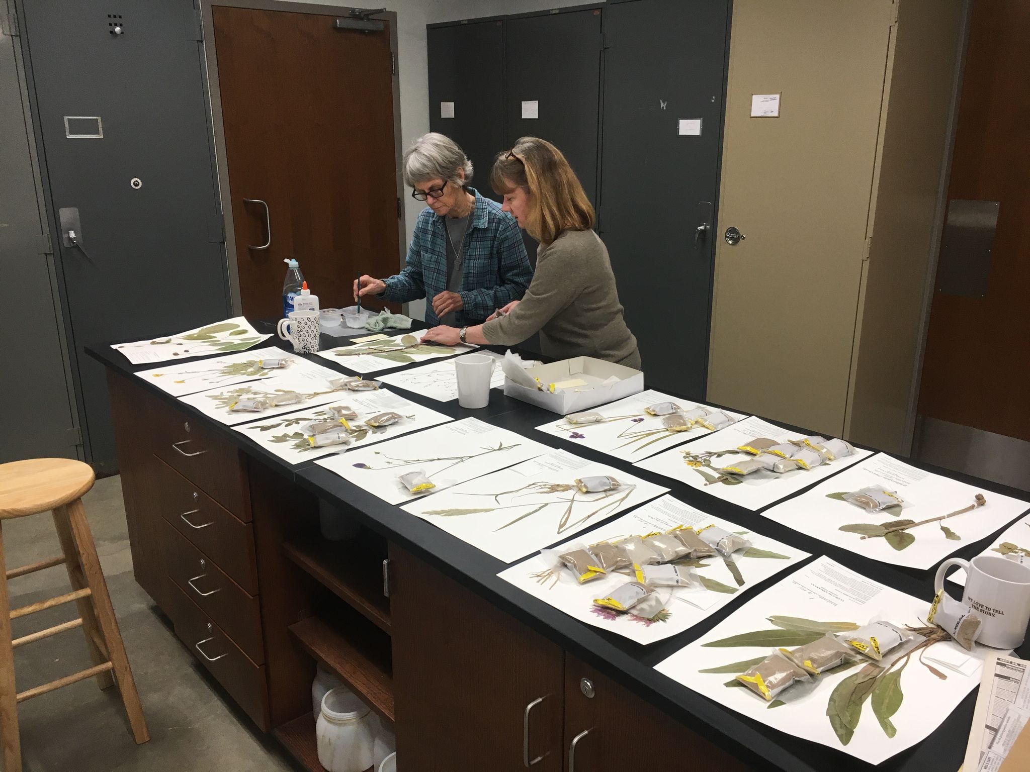 ANHC Herbarium