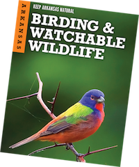 Birding & Watchable Wildlife Guide