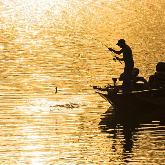 Lake Ouachita