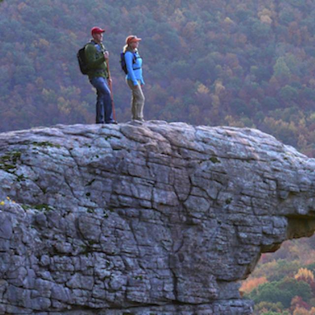 Whitaker Point