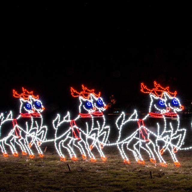 Walnut Ridge Holiday Lights