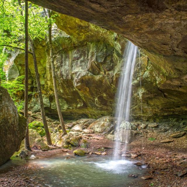 Pam's Grotto at Haw Creek
