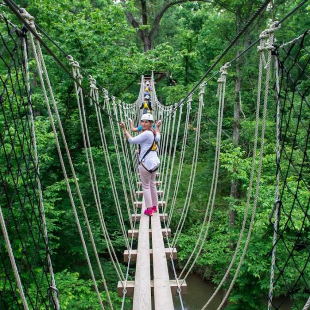 Aerial Zipline Adventureworks Hot Springs