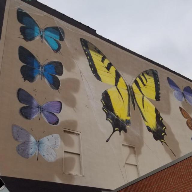 Butterfly mural in Little Rock