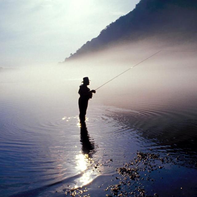 A man fly fishing in the White River in Arkansas