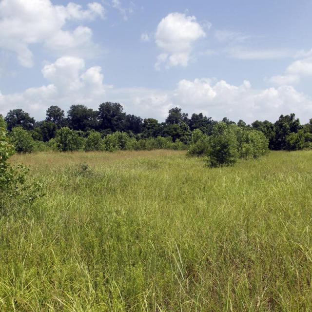 Choctaw Island Wildlife Management Area in Arkansas City.