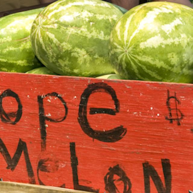 Handwritten sign for $5.00 Hope Melons in the back of a roadside truck