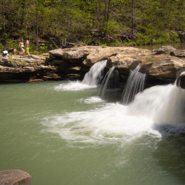 Group gathers to swim at Kings River Red Star