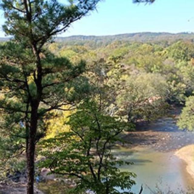 Goat's Beard Bluff View of Alum Fork