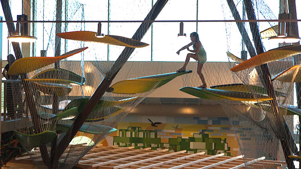 Canopy Climber at the Amzeum in Bentonville