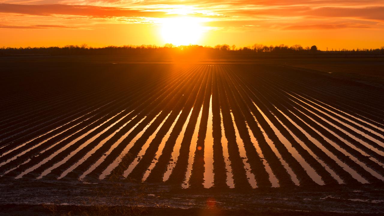 Agricultural fields along Arkansas' Great River Road