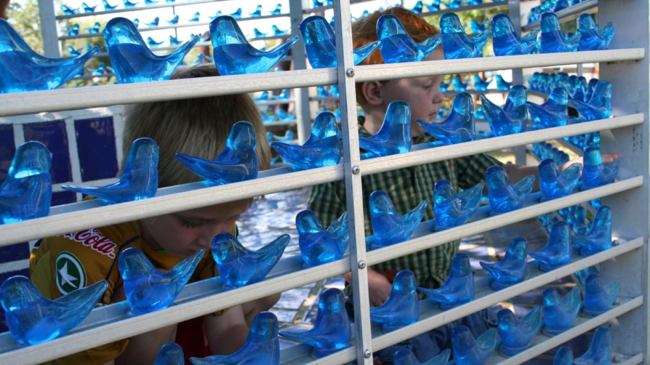 Bluebirds of Happiness at Terra Studios