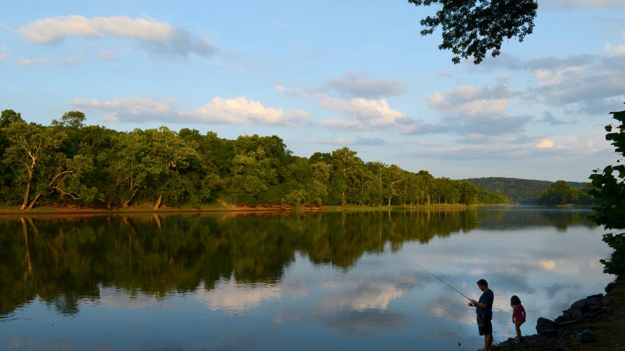 Gaston's White River Resort