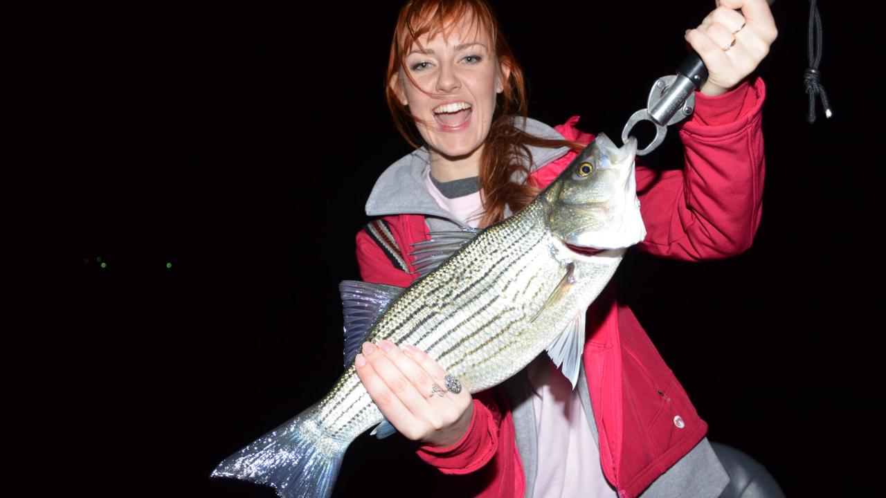 Catch big stripers at night on Lake Norfork