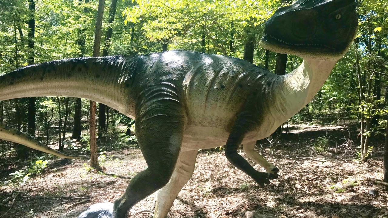 DinoTrek at Mid-America Science Museum in Hot Springs