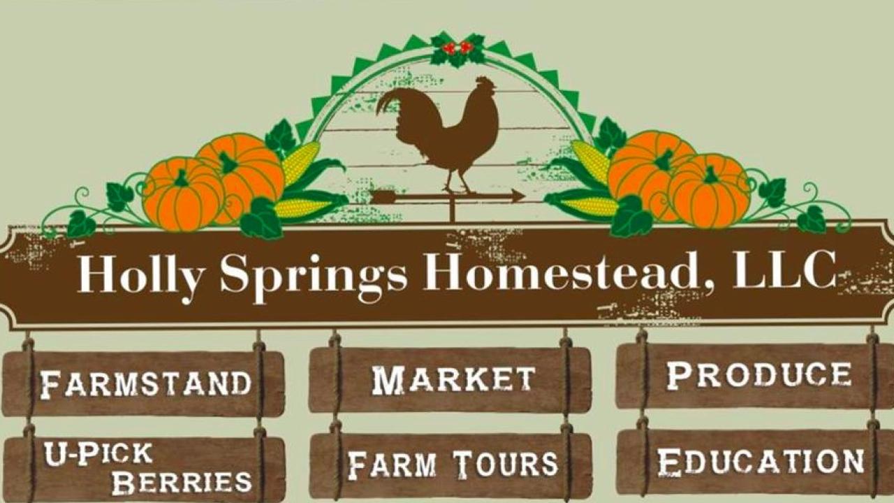 Holly Springs Homestead