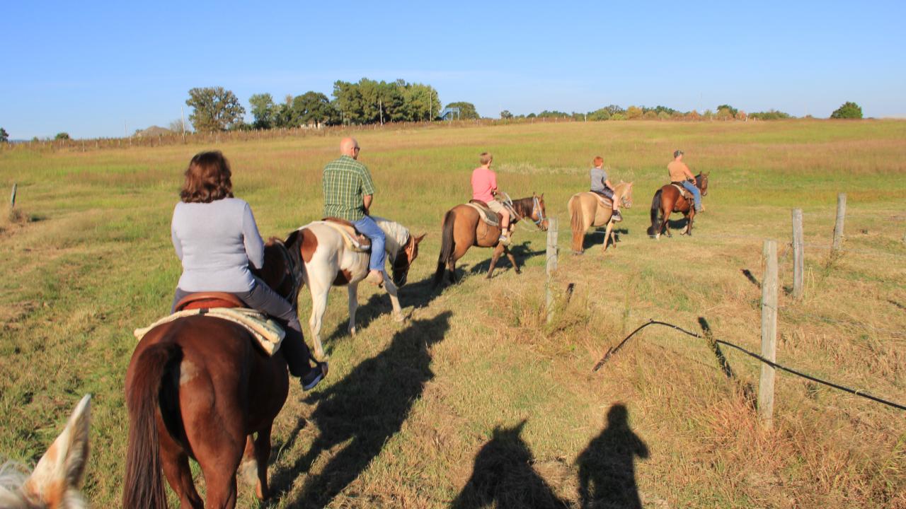 Horseback riding through Arkansas Wine Country