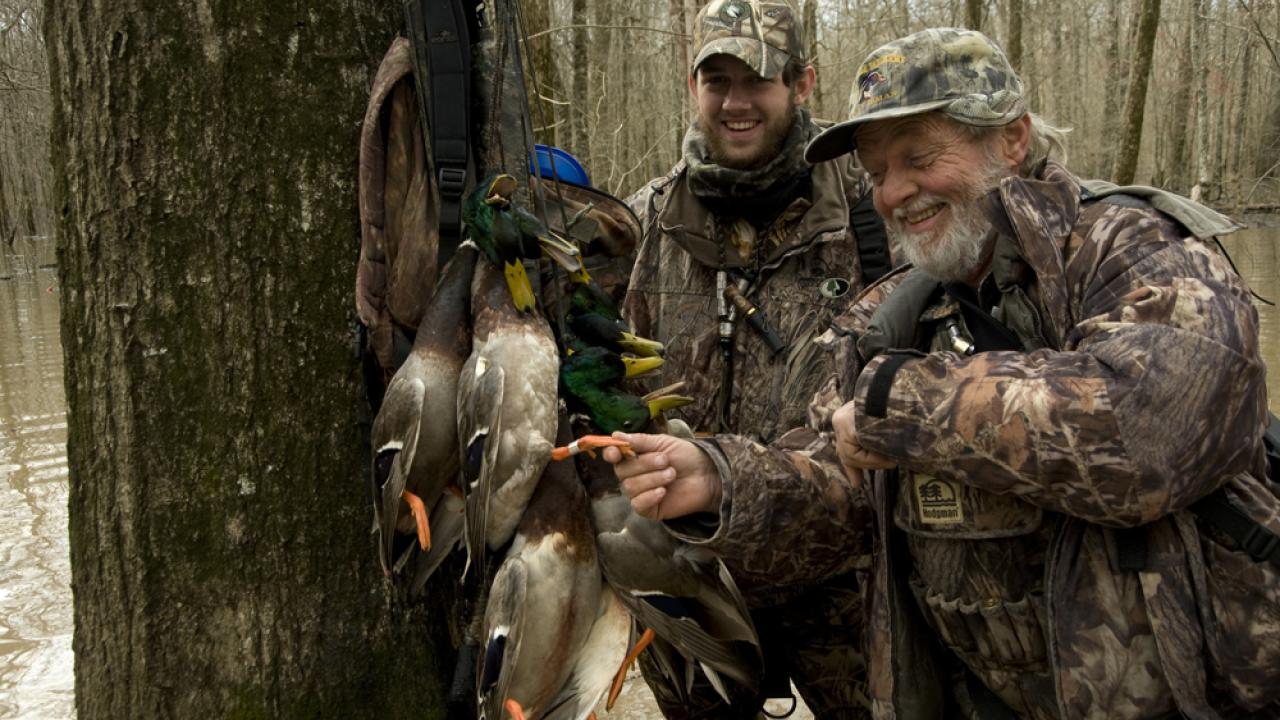 Duck hunting in Bayou Meet Wildlife Management Area