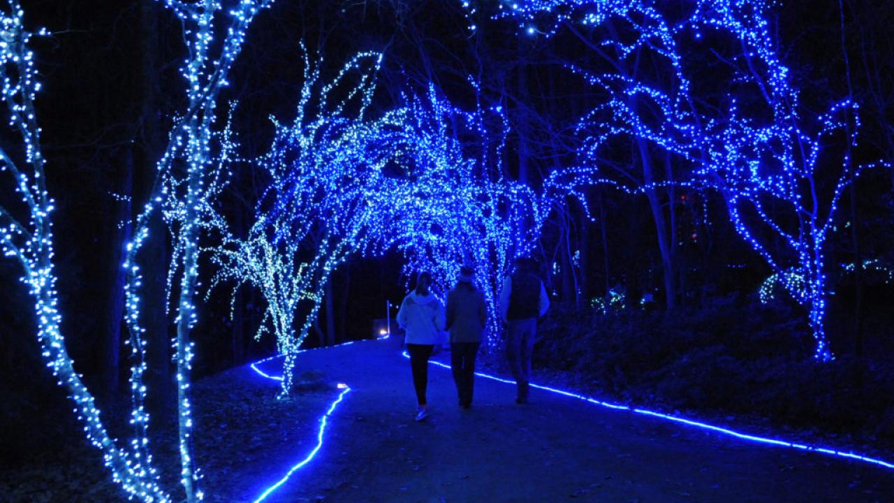 Holiday Lights tradition at Garvan Woodland Gardens