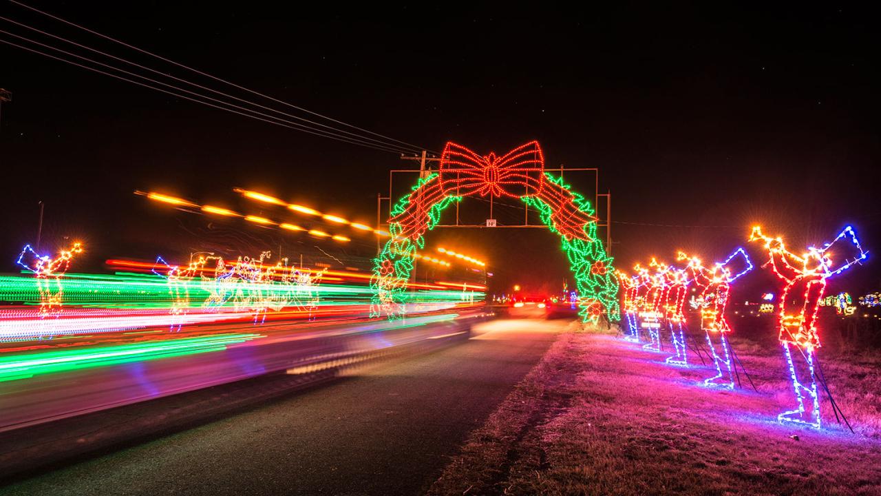 Lights of the Delta