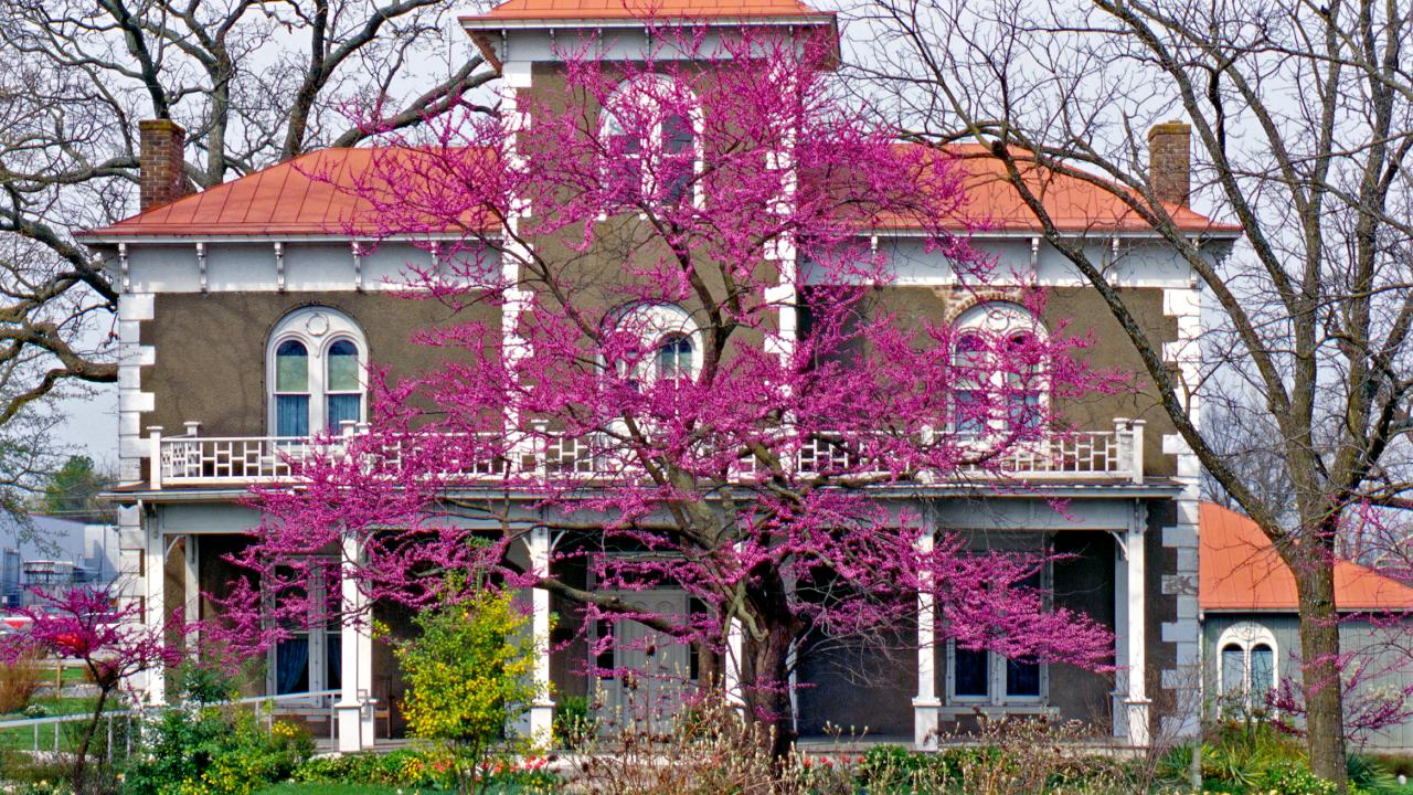 Peel House Museum